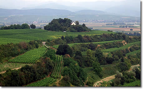 Blick auf den Kapellenberg